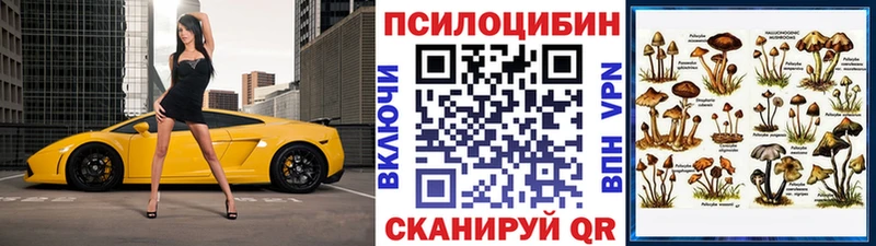 купить наркотик  Яхрома  Галлюциногенные грибы прущие грибы 